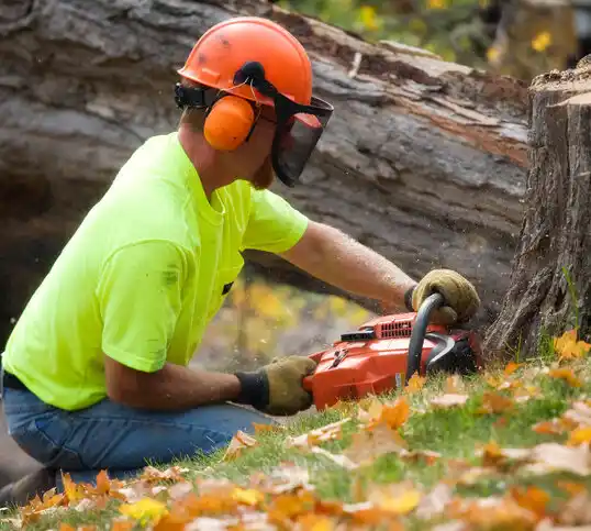 tree services Center